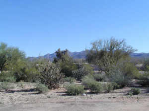 Rio Verde 1221