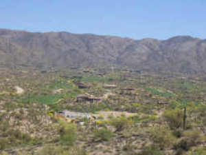 Lone Mountain 35