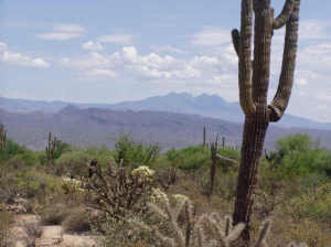 South of Rio Verde 1