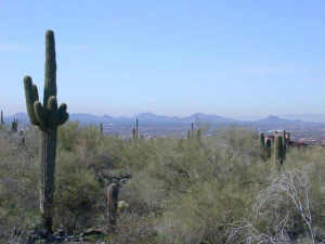 Upper Canyon at Silverleaf 1533