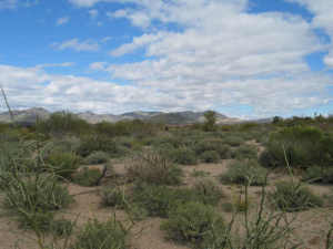 Other Boulder Area Property 0