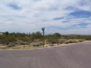 Pima Acres 29