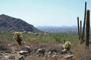 Upper Canyon at Silverleaf 1728