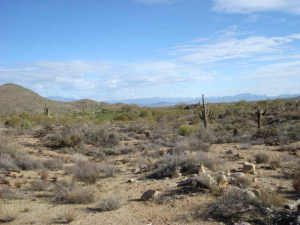 Reserve 6