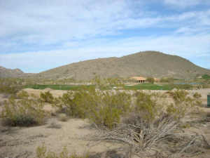 Reserve 19