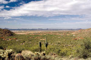Upper Canyon at Silverleaf 1725