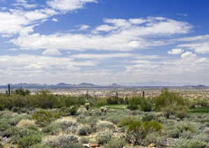 Upper Canyon at Silverleaf 1503