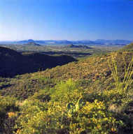 Carefree Ranch Homesteads 20AC