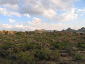 Talus 1