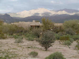 Tonto Verde 463