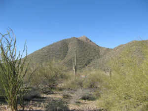 Upper Canyon at Silverleaf 1905