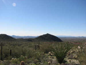 Upper Canyon at Silverleaf 1709