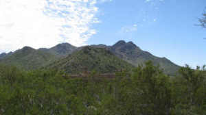 Troon Ridge Estates 1/2 43