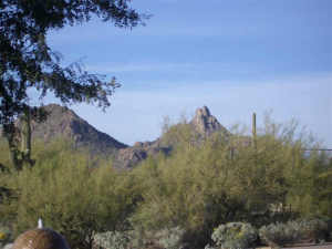 Non-HOA Pinnacle Peak Area 0