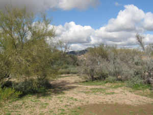 Whisper Rock 156