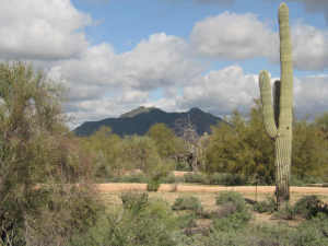 Whisper Rock 65