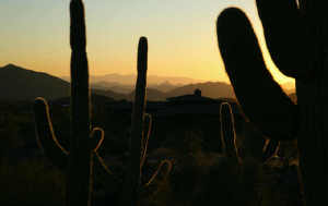 Cochise-Geronimo Village 29