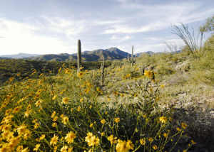 Ranch Highlands 38