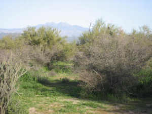 Non-HOA in Dynamite Foothills X