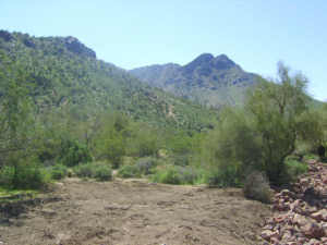 Troon Ridge Estates 1/2 62