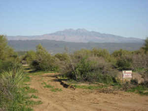 South of Rio Verde 4