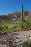 Tusayan Estates at Troon 65