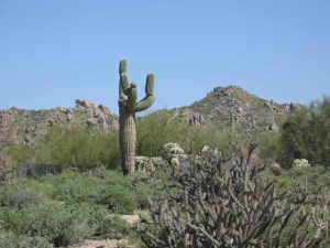 Whisper Rock 9