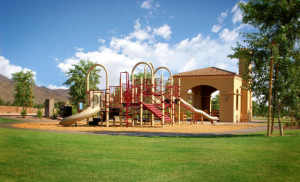 Arcadia at Silverleaf 3645