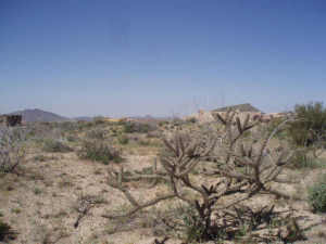Sonoran Sanctuary 35