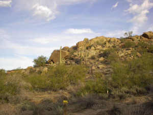 Estancia 147