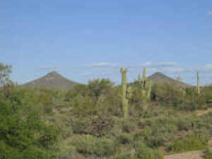 Whisper Rock 82