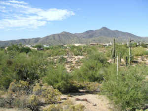 Mountain Skyline 32
