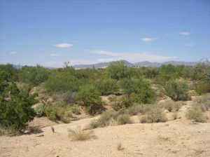 Whisper Rock 172