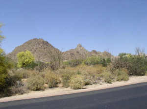 Desert Highlands 31