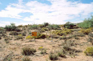 Tonto Hills 191