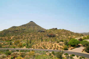 Mountain Skyline 41