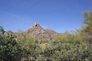 Estancia 238