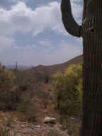 Upper Canyon at Silverleaf 1828