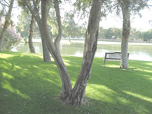 5122 N 31ST Way Unit 245 - 6775330