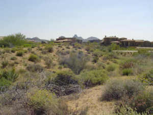 Talus 128