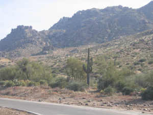 Troon Highlands Estates 19
