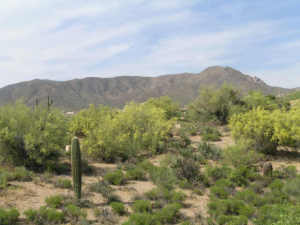 Mountain Skyline 104