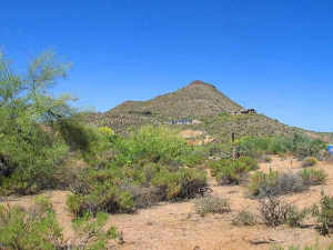 Mountain Skyline 52