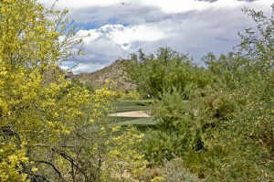 Whisper Rock home for sale