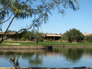 Tonto Verde 286