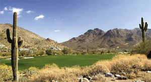 The Parks at Silverleaf 1239