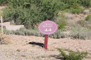 Sonoran Sanctuary 44
