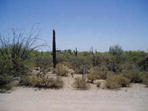 Other Boulder Area Property X