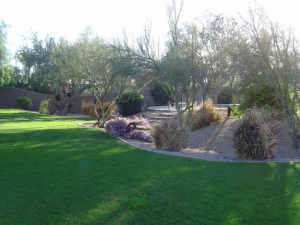 Vistana home for sale