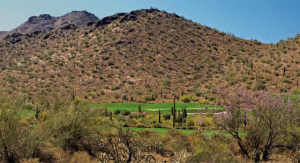 Horseshoe Canyon at Silverleaf 2304